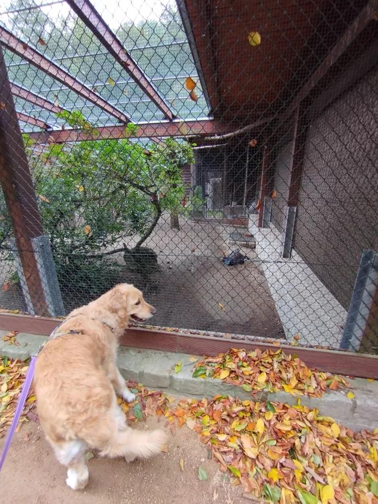 Wildpark Christianental