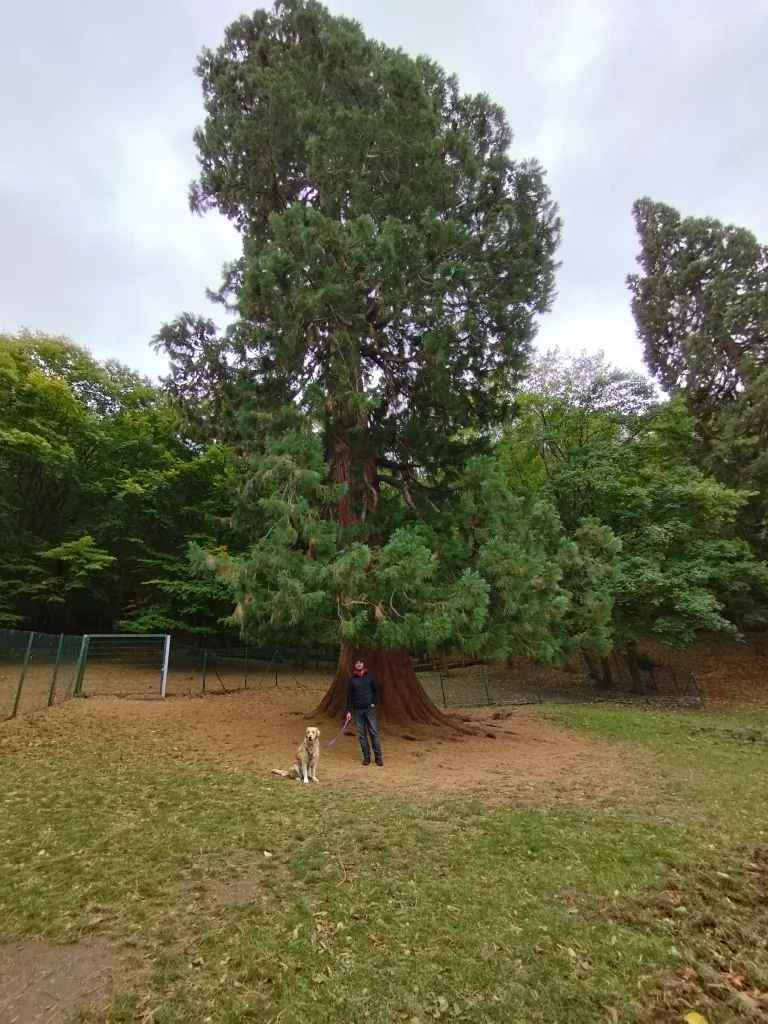 Wildpark Christianental