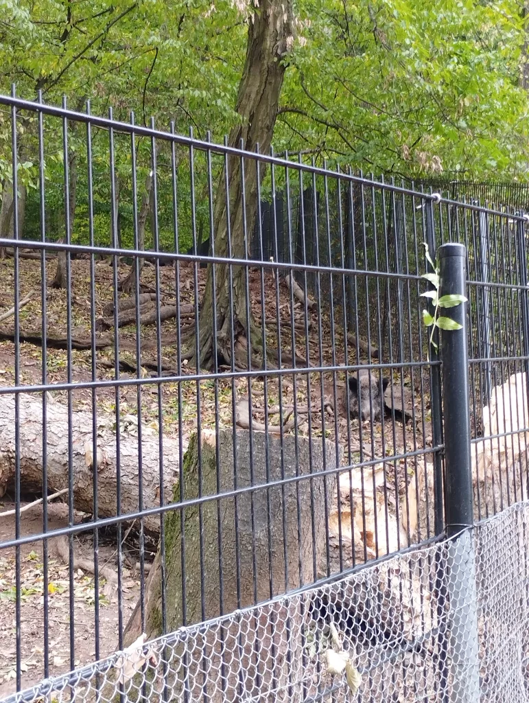 Wildpark Christianental