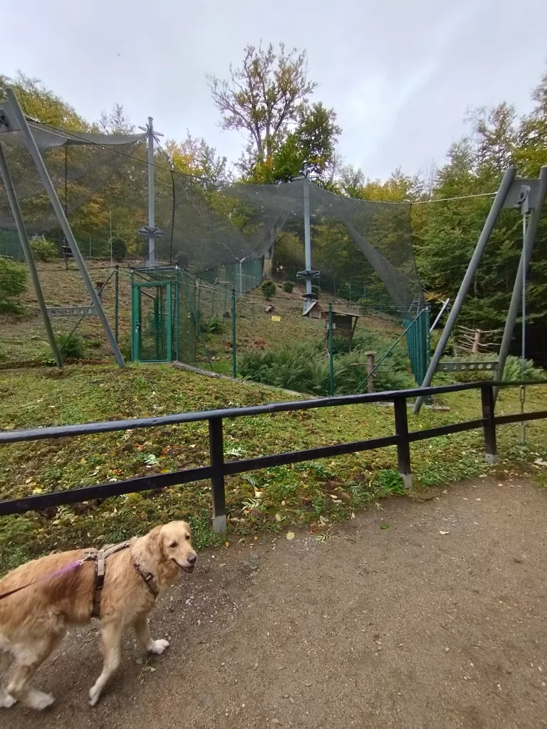 Wildpark Christianental