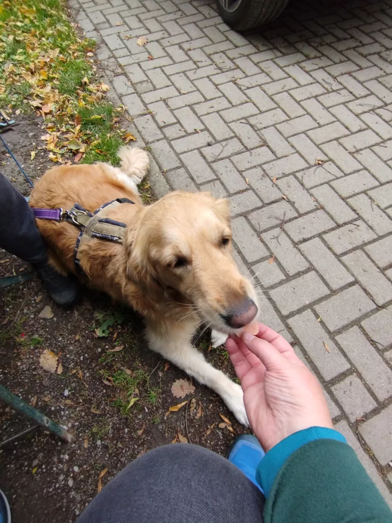 Wildpark Christianental