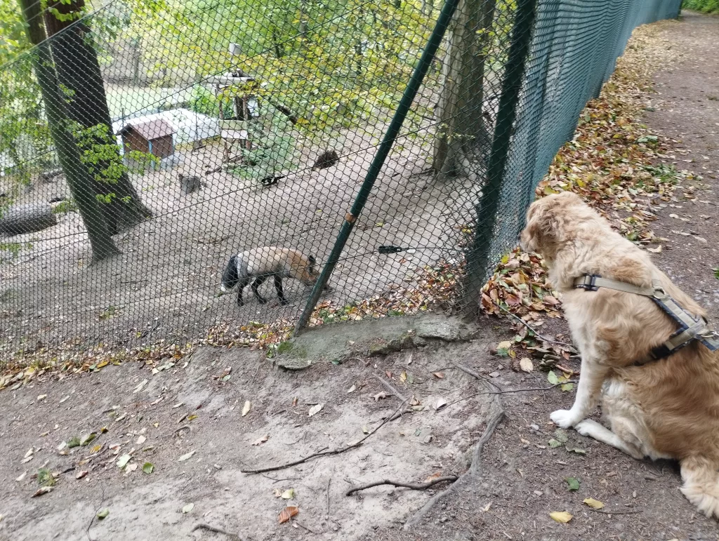 Wildpark Christianental