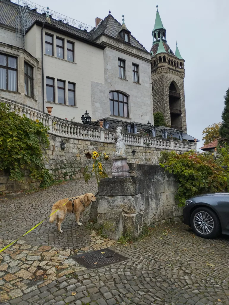 Sternkiekerturm Quedlinburg