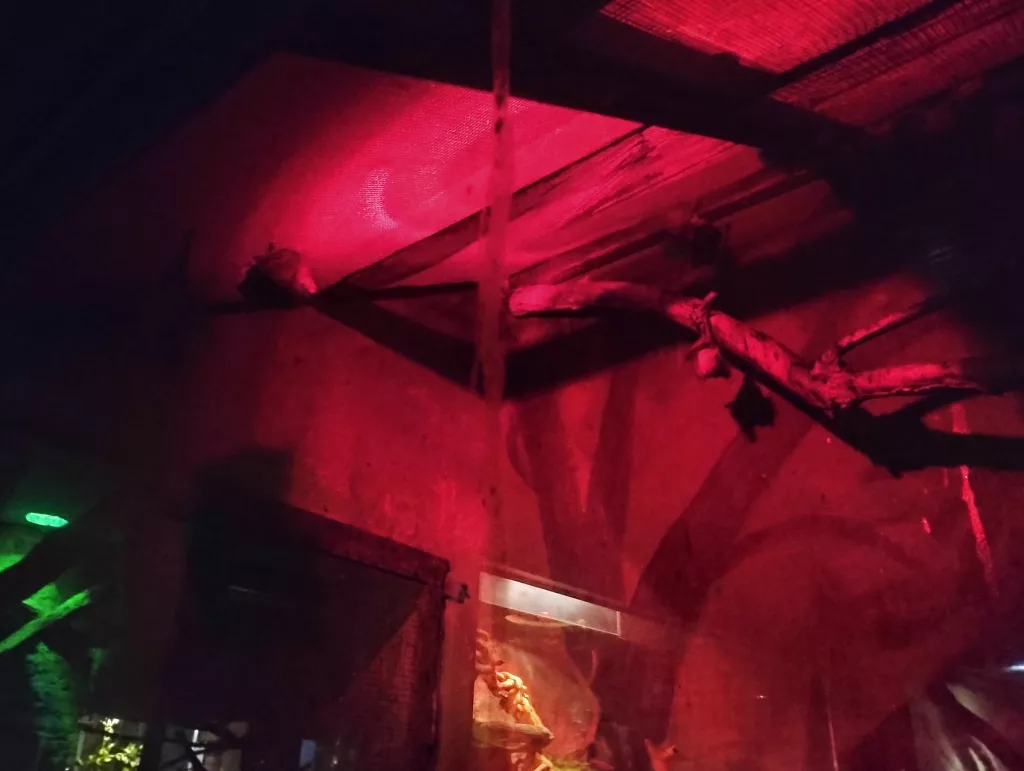 Kleines Tropenhaus - Zoo Aschersleben