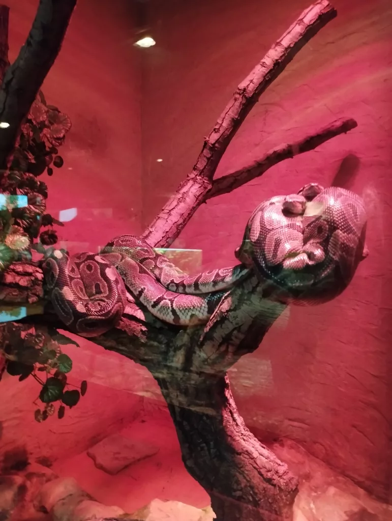 Kleines Tropenhaus - Zoo Aschersleben