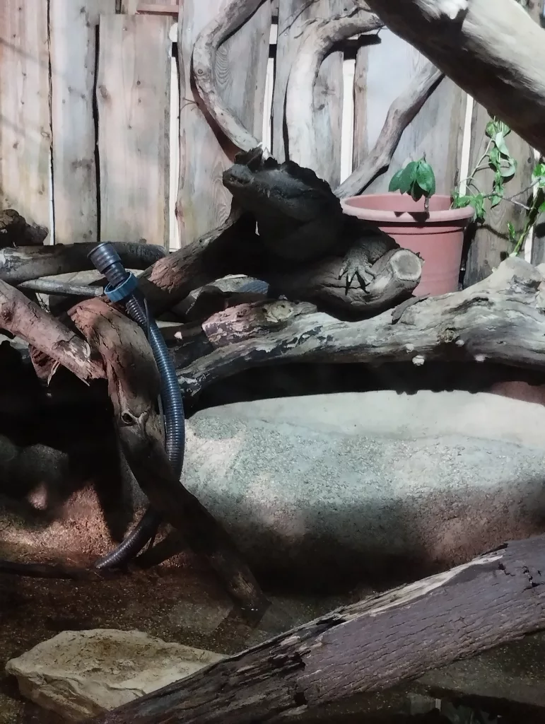 Kleines Tropenhaus - Zoo Aschersleben