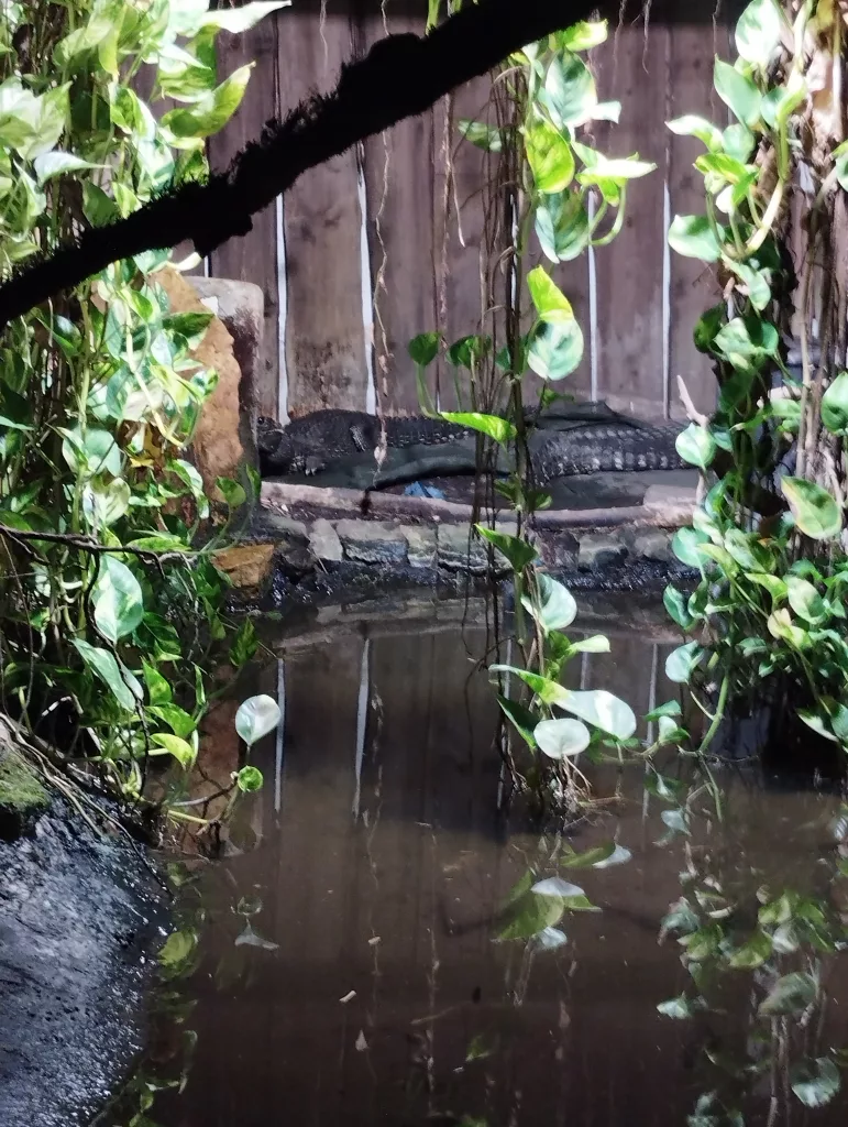 Kleines Tropenhaus - Zoo Aschersleben