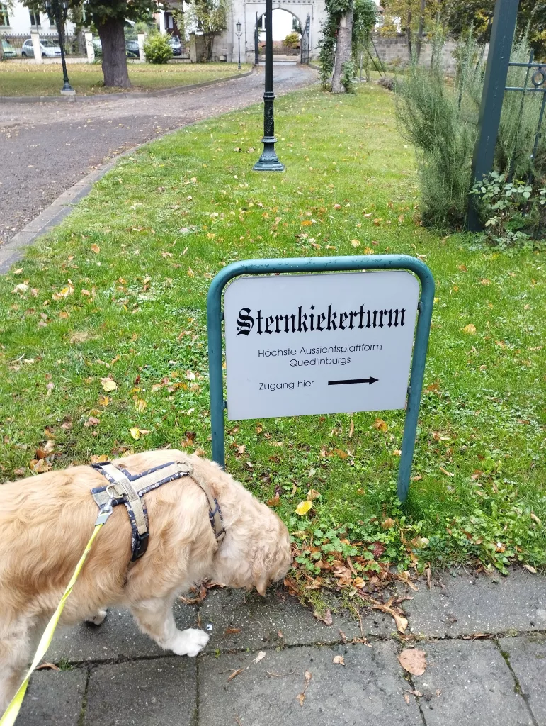 Sternkiekerturm Quedlinburg