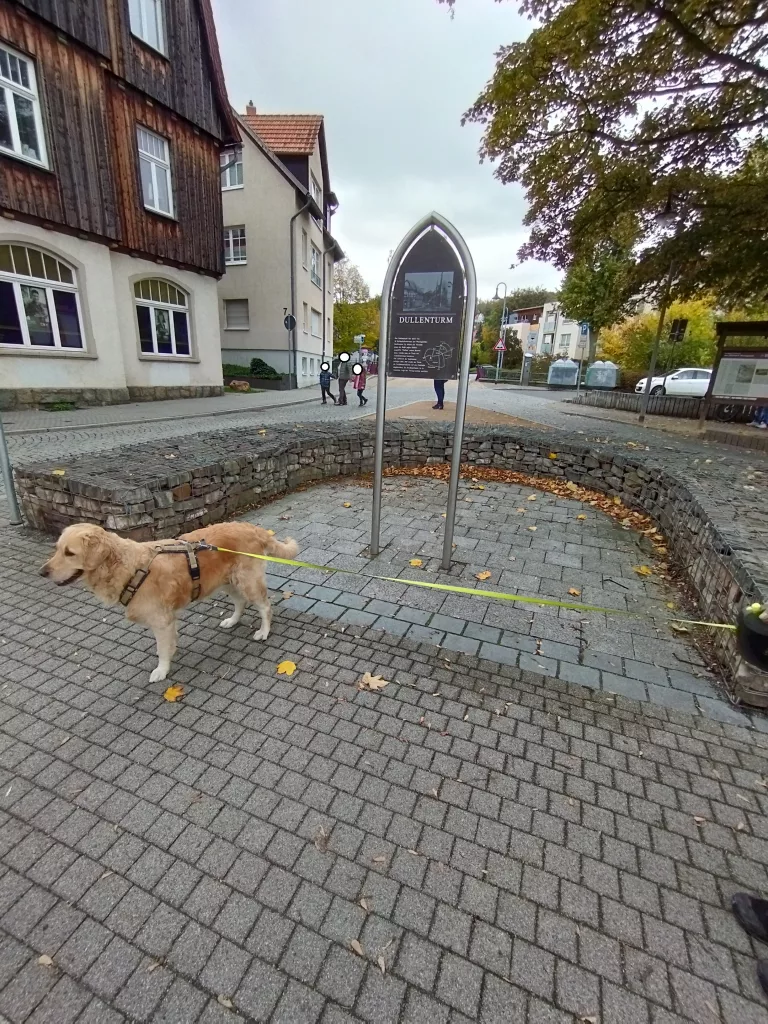 Dullenturm Werningerode