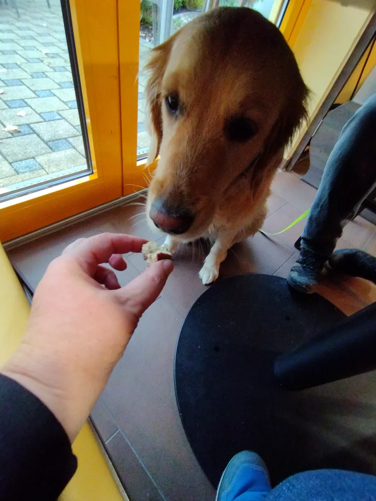 Harzer Baumkuchenhaus Werningerode