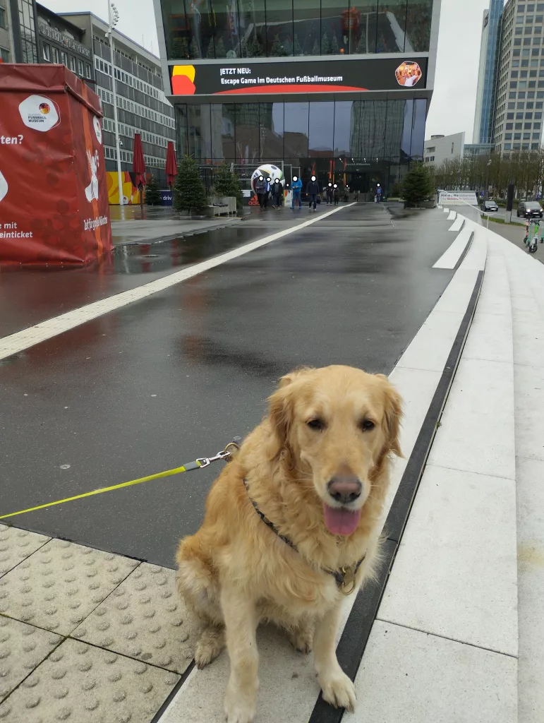 Deutsches Fußballmuseum Dortmund