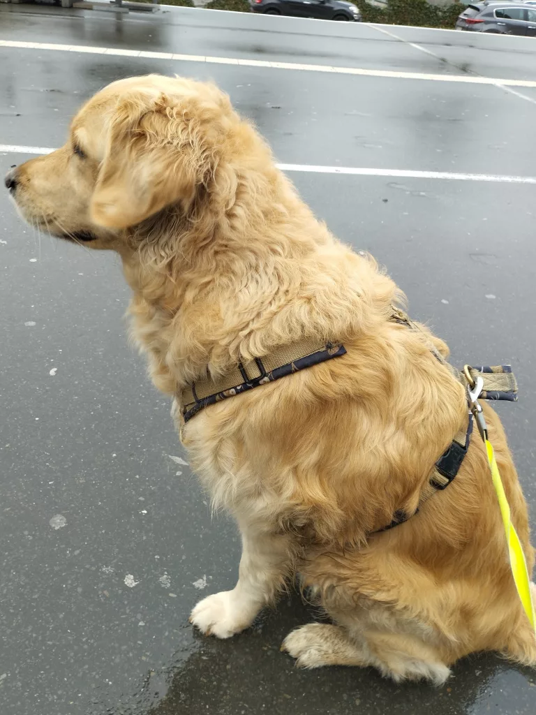 Deutsches Fußballmuseum Dortmund