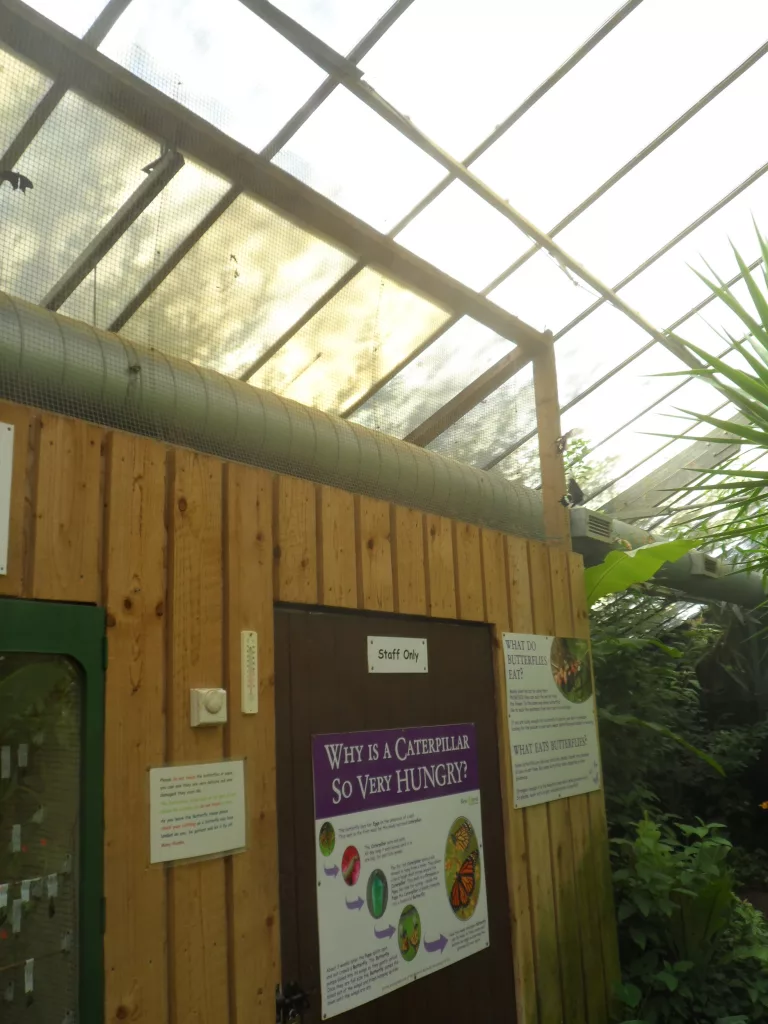 New Forest Wildlife Park