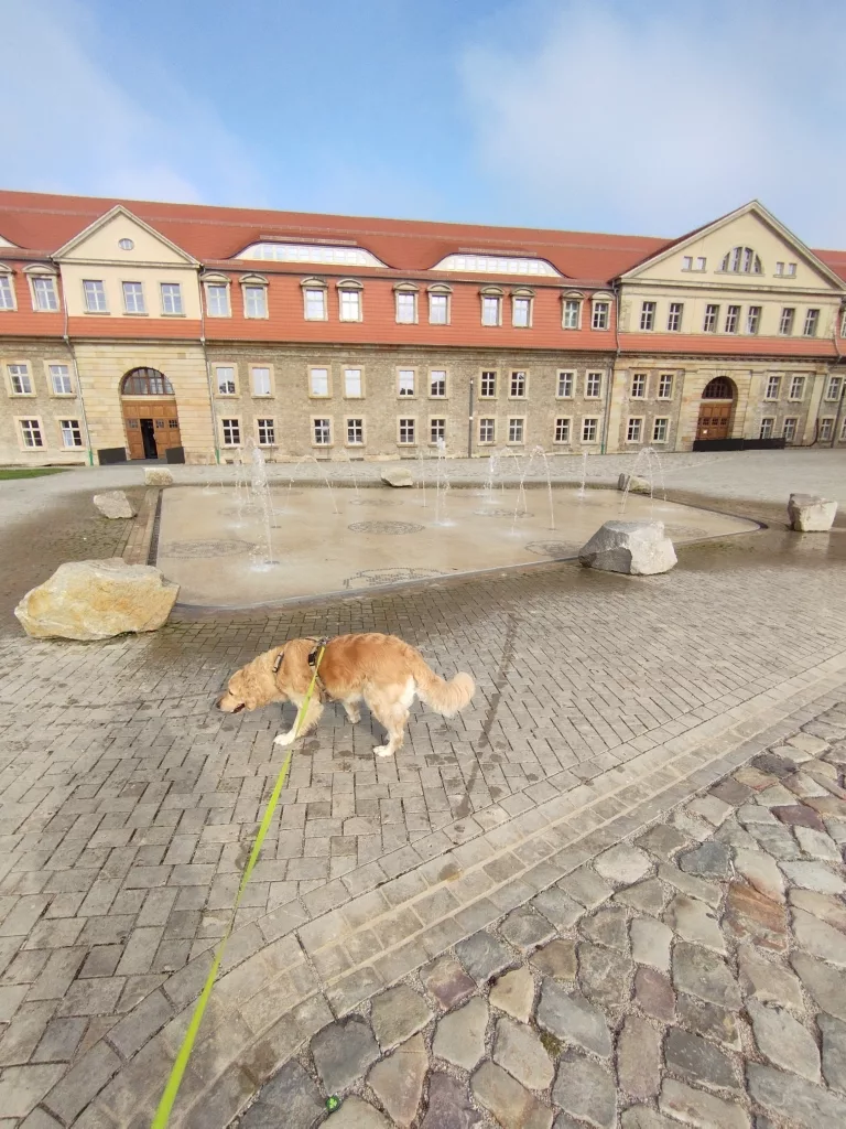 Defensionskaserne Zitadelle Petersberg