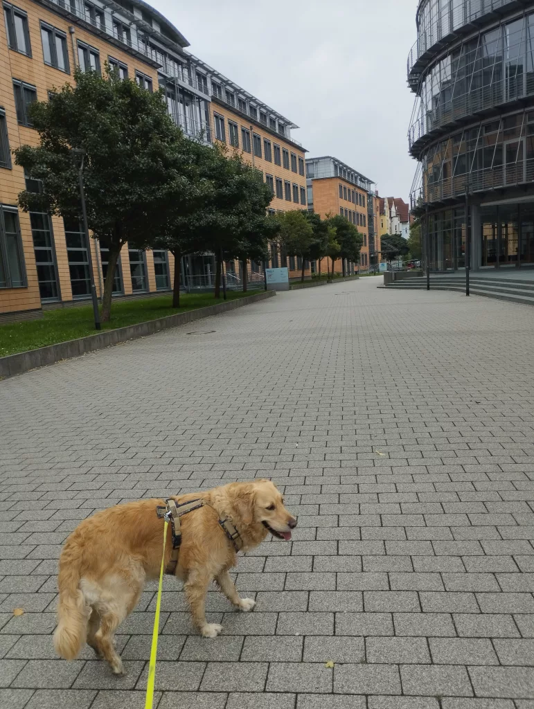 Benary Speicher - Druckereimuseum Erfurt