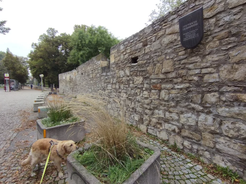 Stadtmauer am Rosswehr - Erfurt