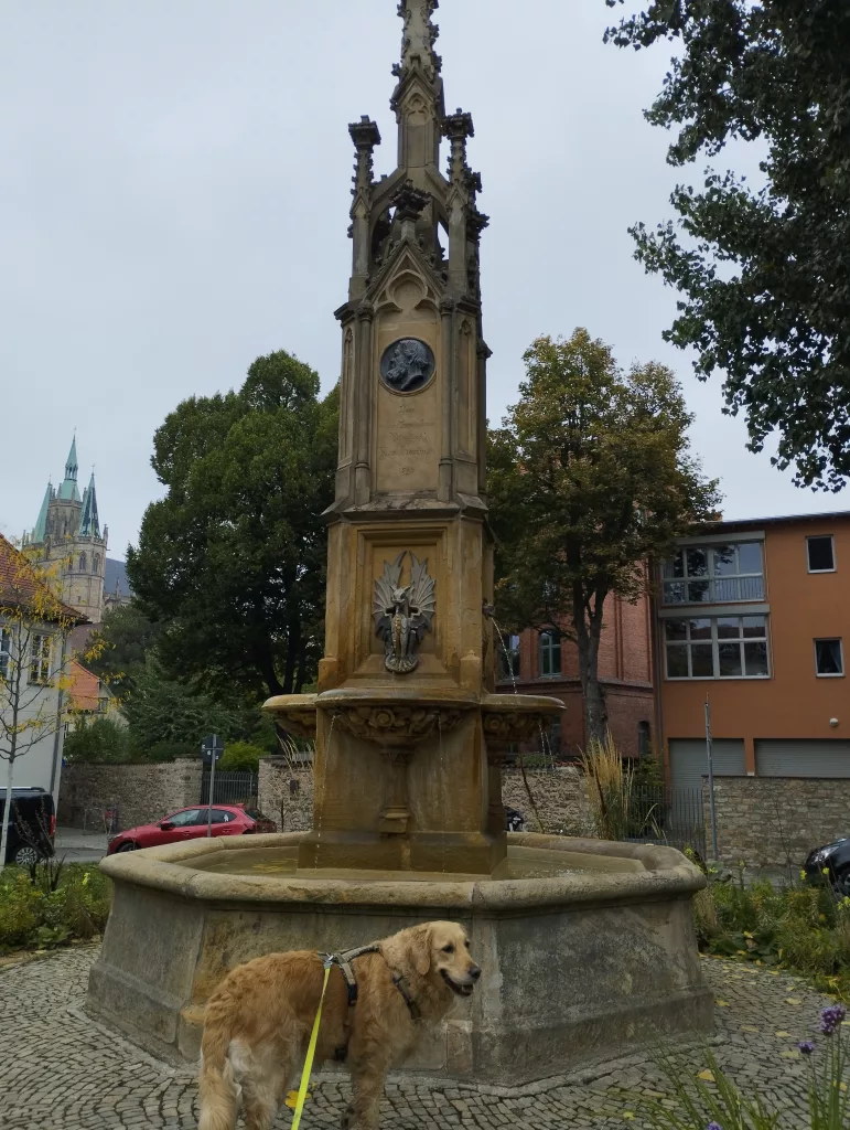 Herrmanns Brunnen Erfurt