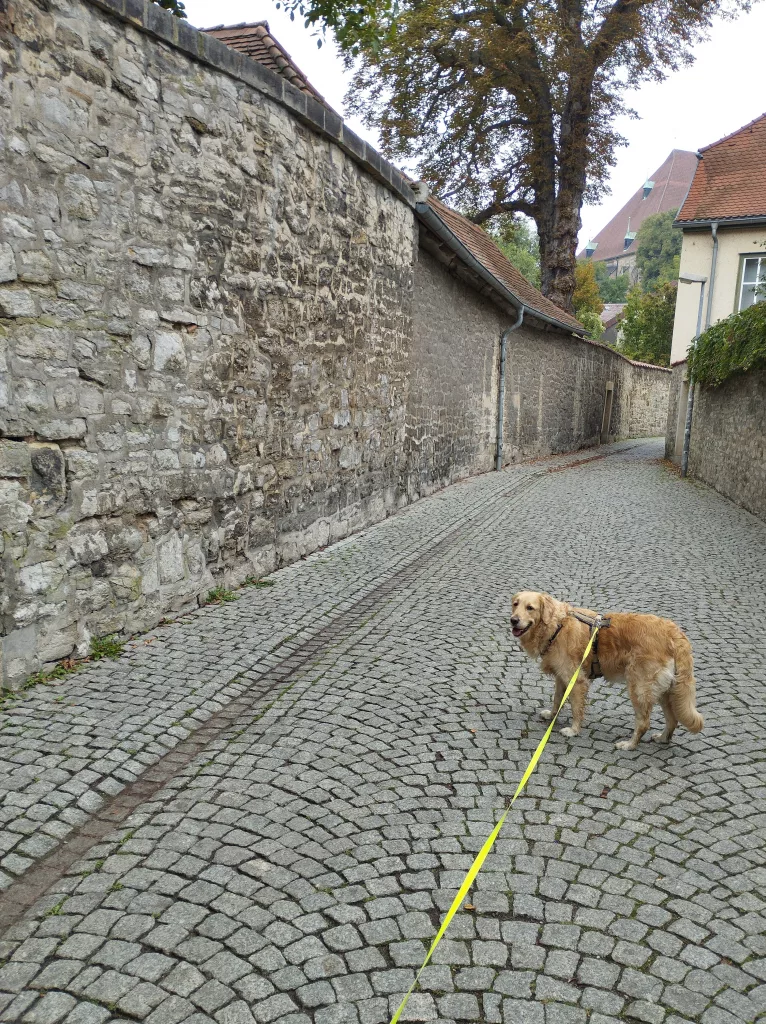 Stiftsgasse Erfurt
