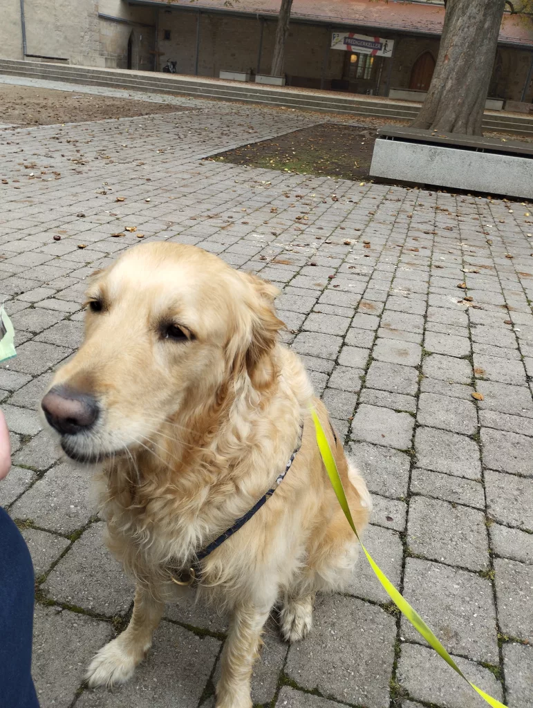 Predigerkloster Erfurt