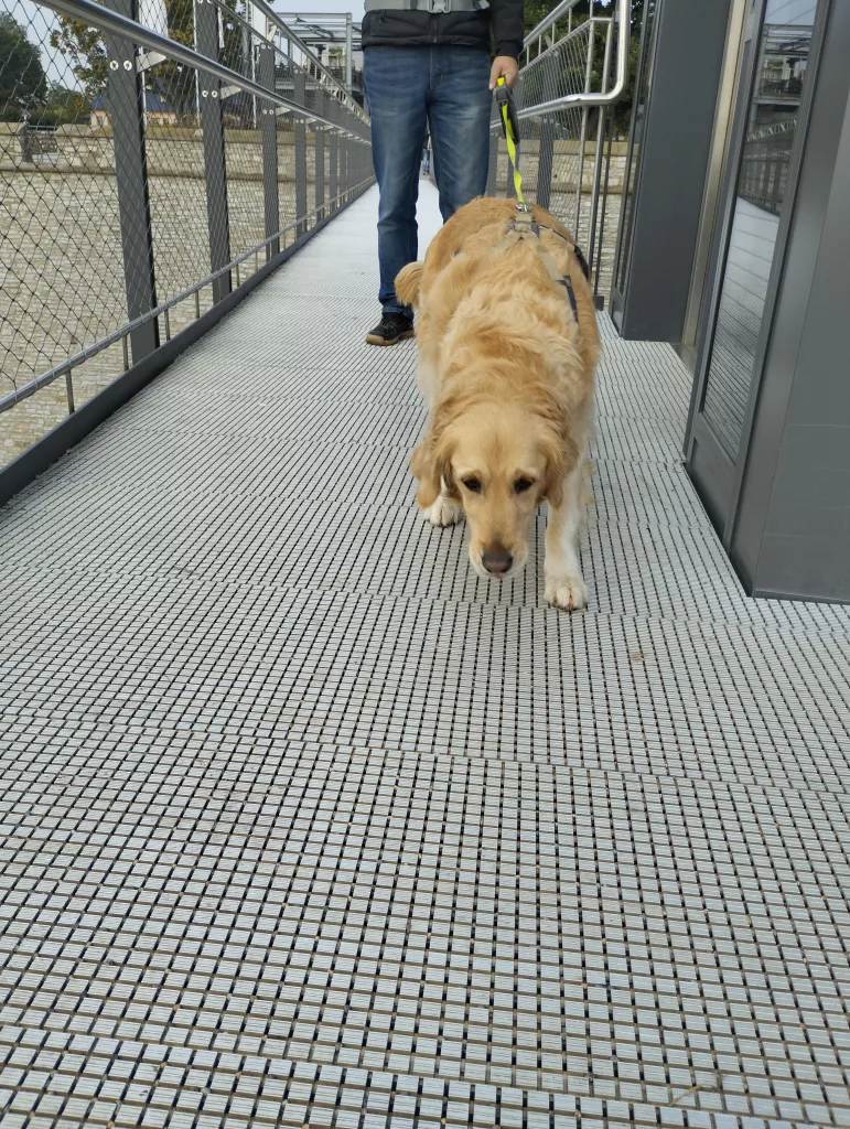 gläsernen Aufzug Petersberg Erfurt