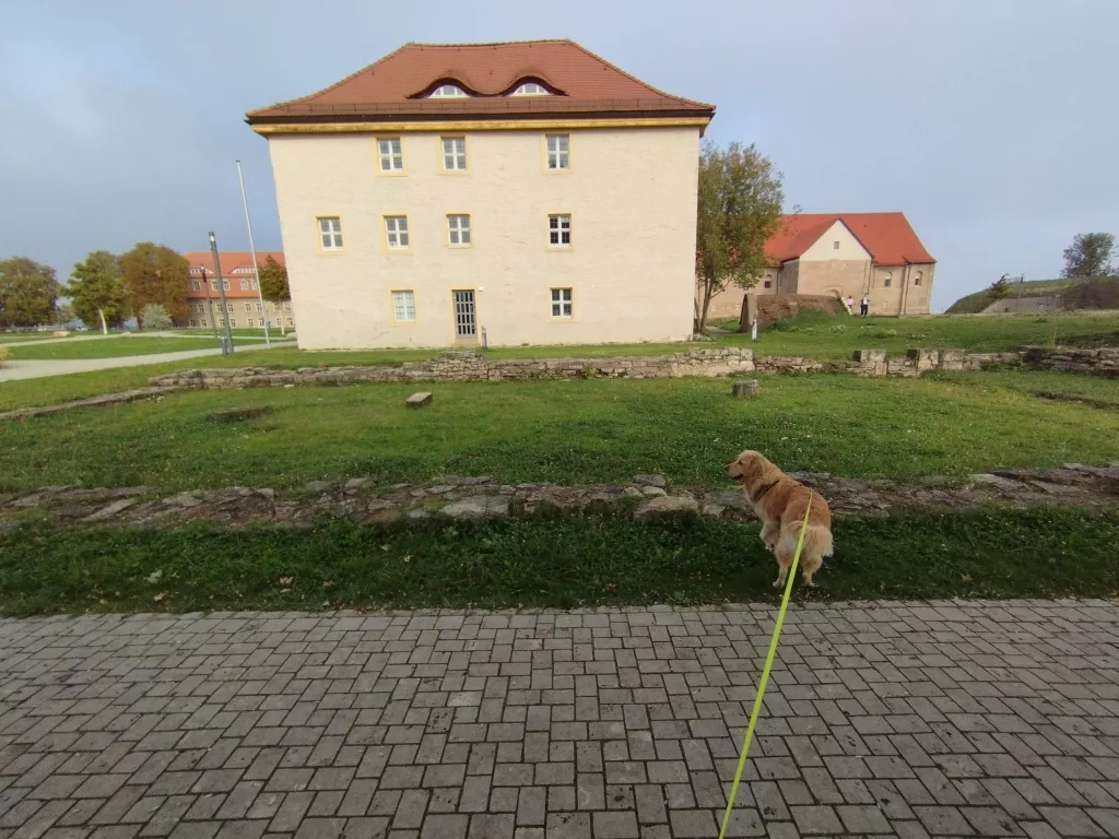 Thüringer Landesamt für Denkmalpflege