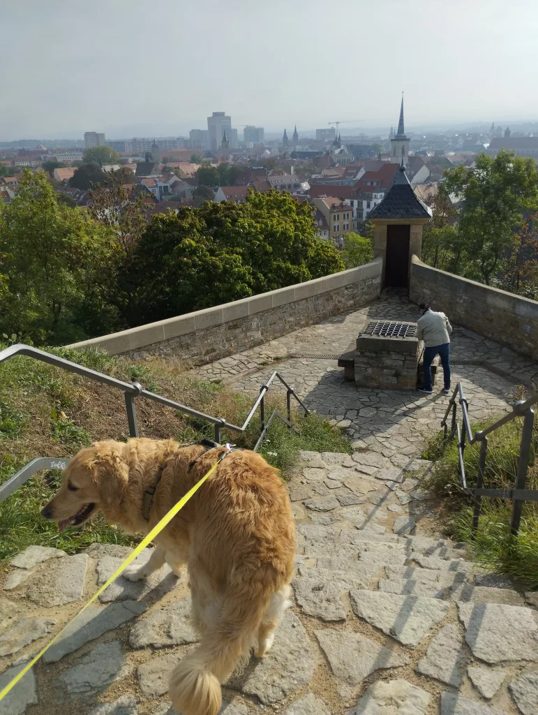 Festungsmauer der Zitadelle