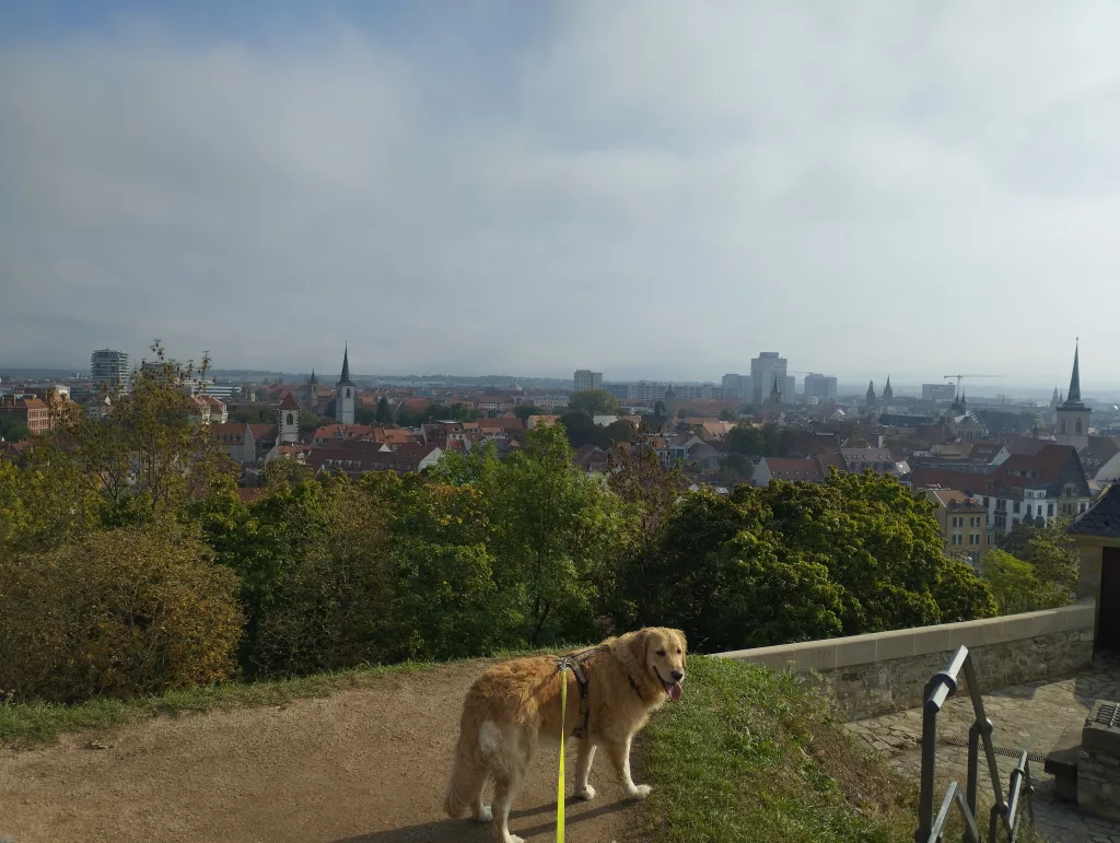 Festungsmauer der Zitadelle