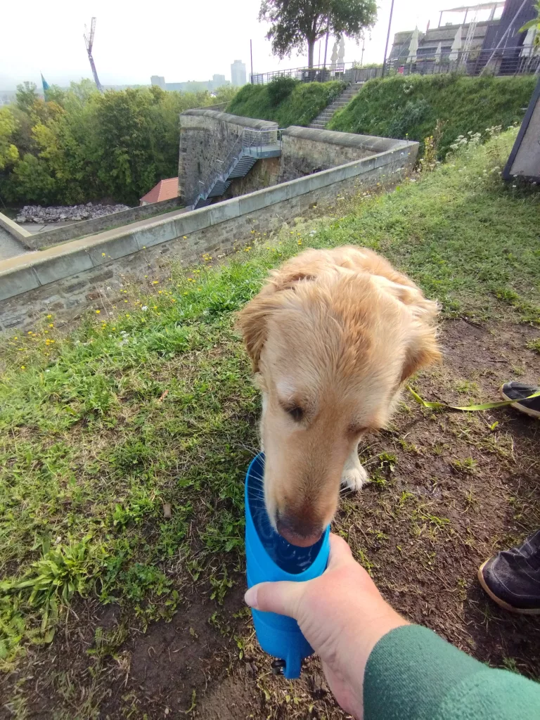 Himmelschaukel Erfurt