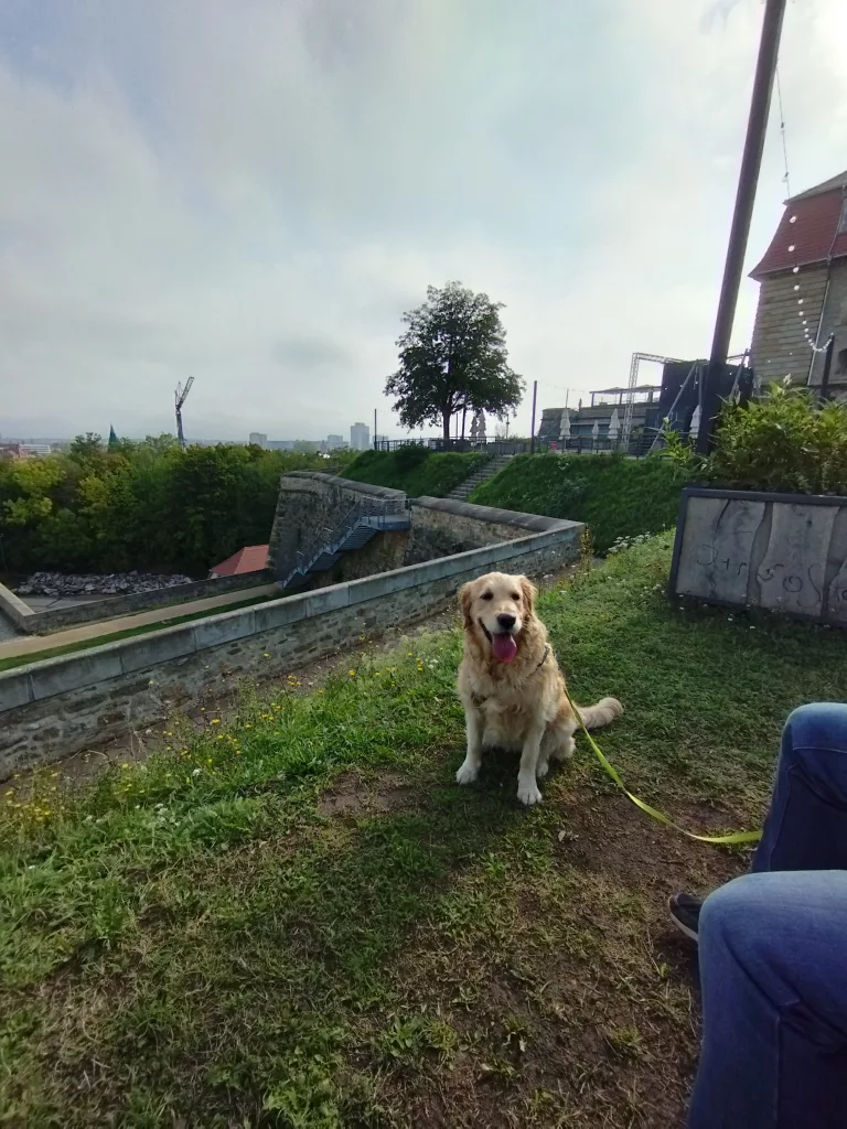 Himmelschaukel Erfurt