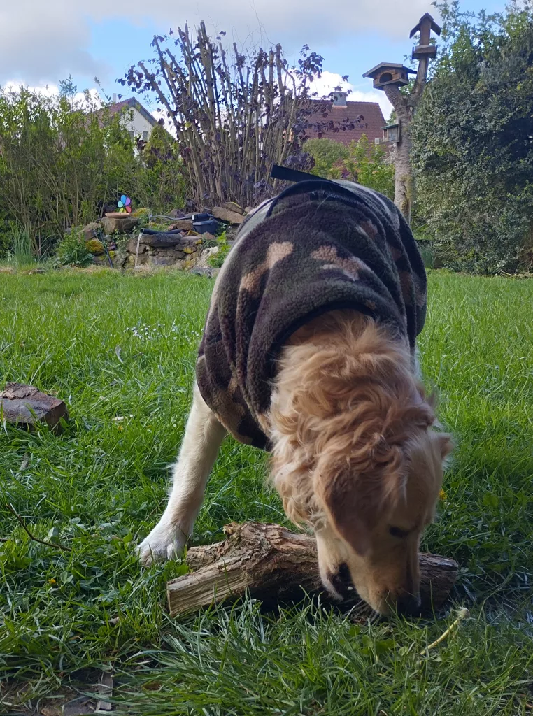 Actionfactory Dryup Warmover Cape