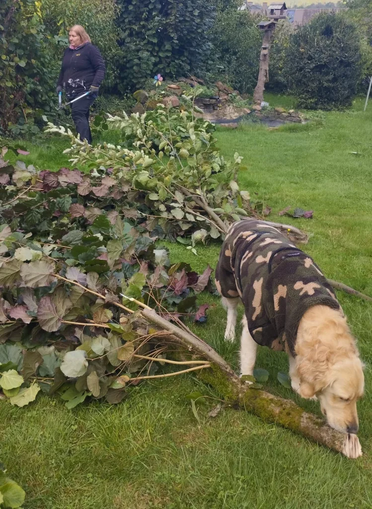 Actionfactory Dryup Warmover Cape