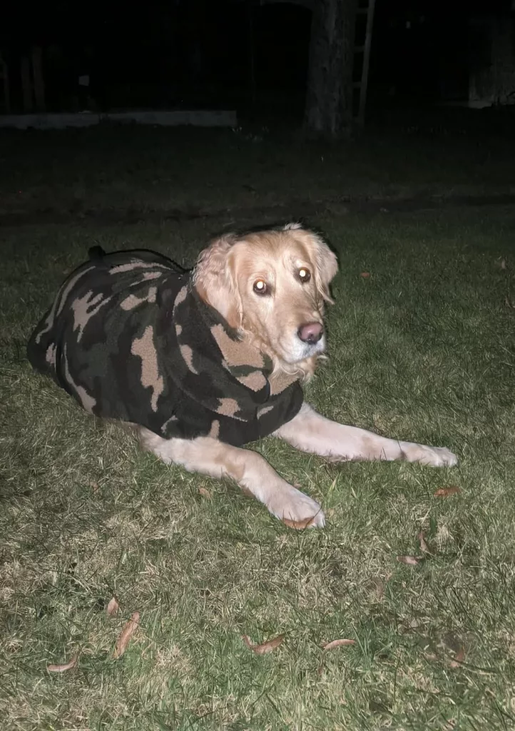 Actionfactory Dryup Warmover Cape