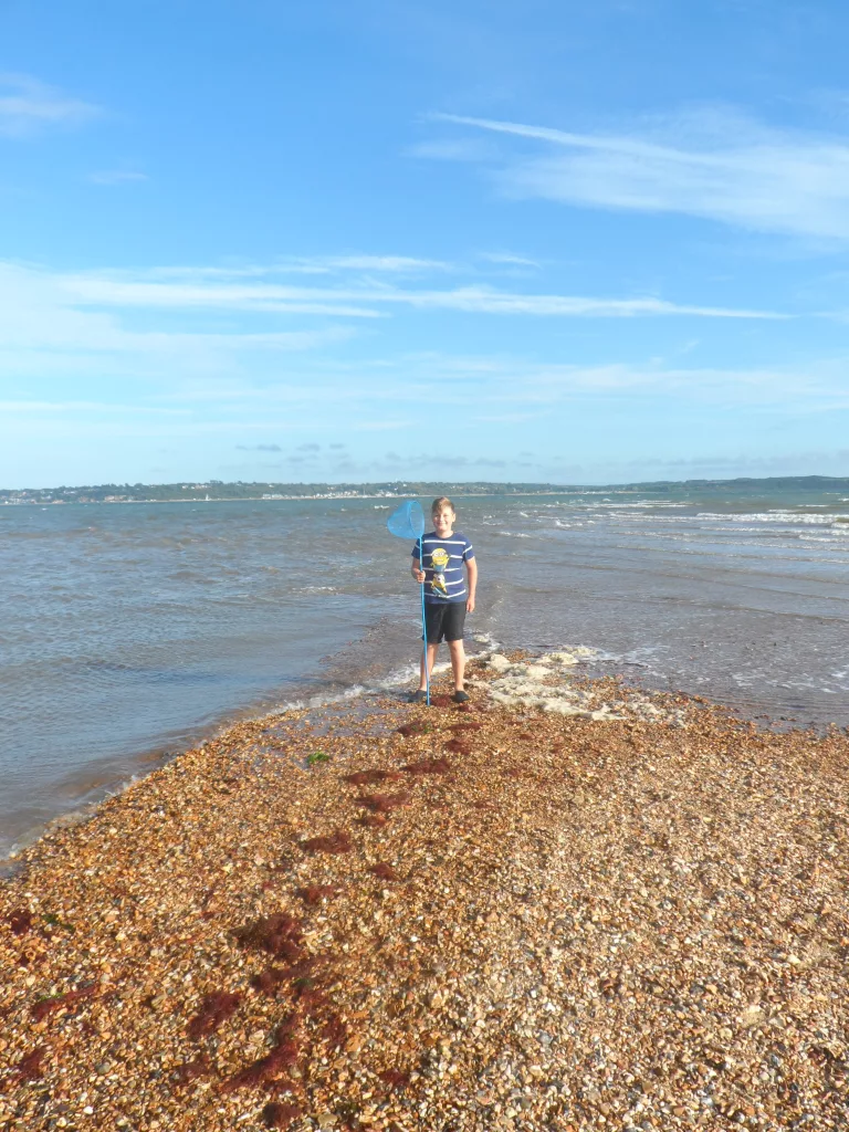 Red Arrows Air Display - Cowes Week
