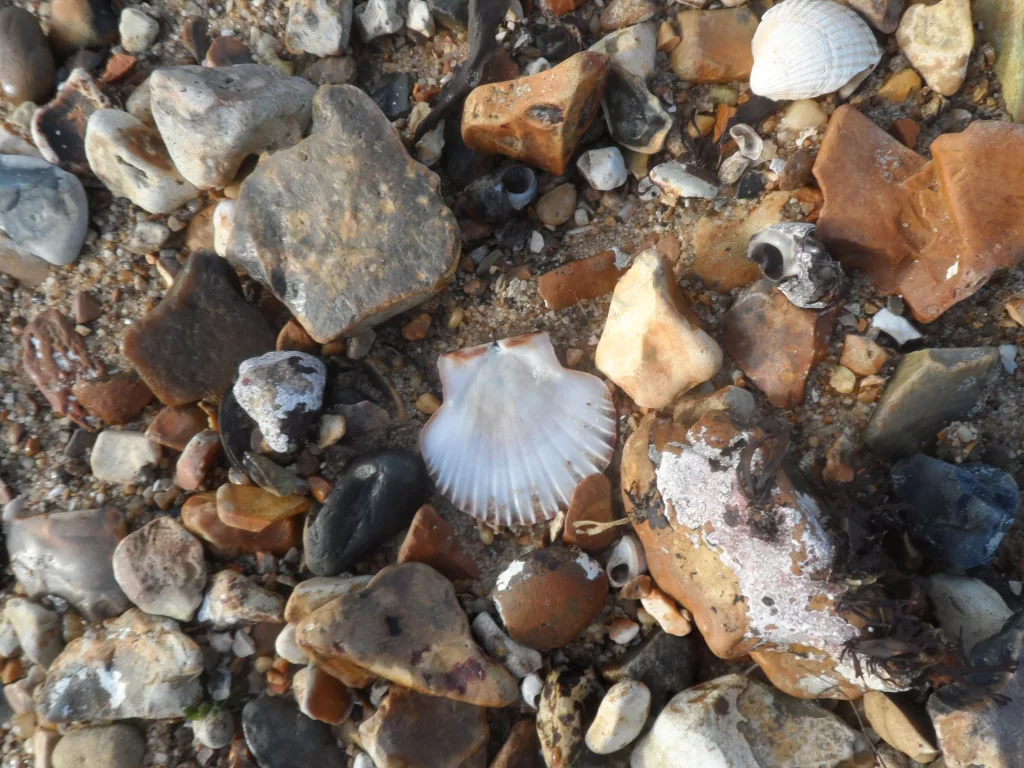 Red Arrows Air Display - Cowes Week