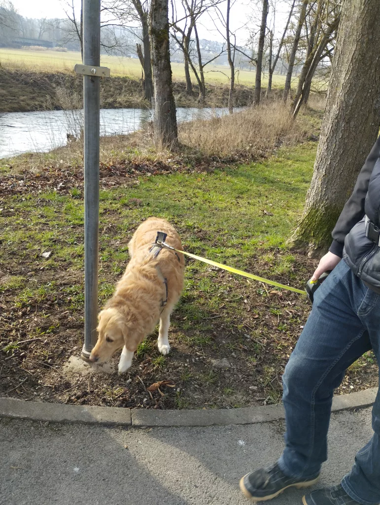 Kurpark - Bad Neustadt an der Saale