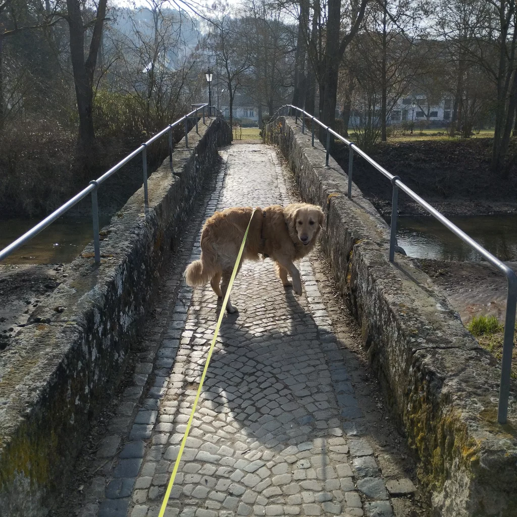 Kurpark - Bad Neustadt an der Saale