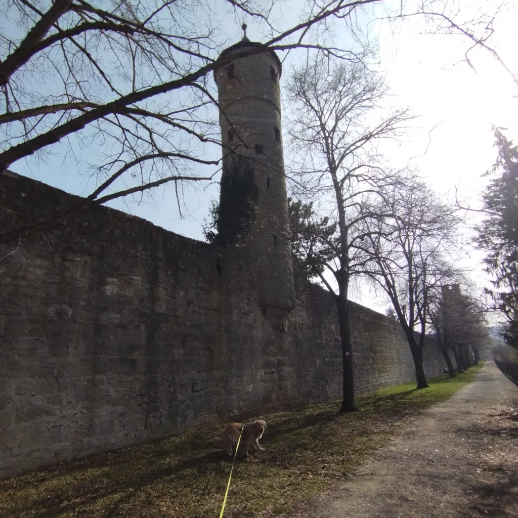 Bauerngasse 25 Tower - Bad Neustadt an der Saale