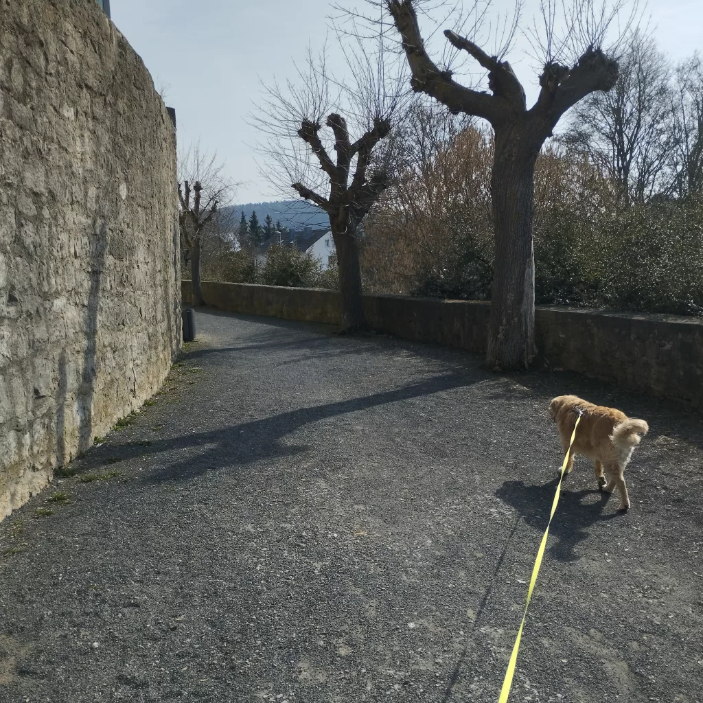 Wilhelm-Uhlig-Weg - Bad Neustadt an der Saale