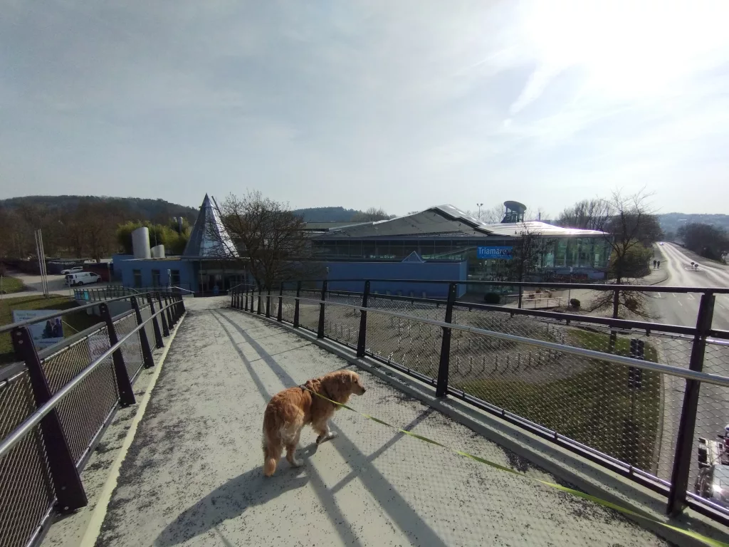 Triamare - Bad Neustadt an der Saale