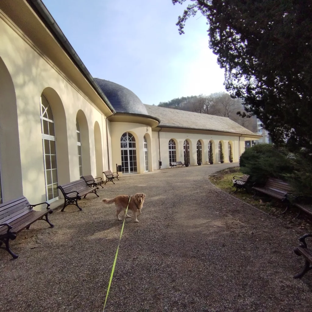 Wandelhalle - Bad Neustadt an der Saale