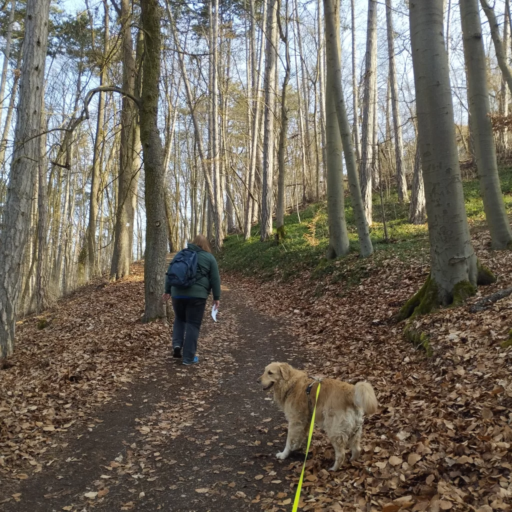 Weg zur Salzburg- Bad Neustadt an der Saale