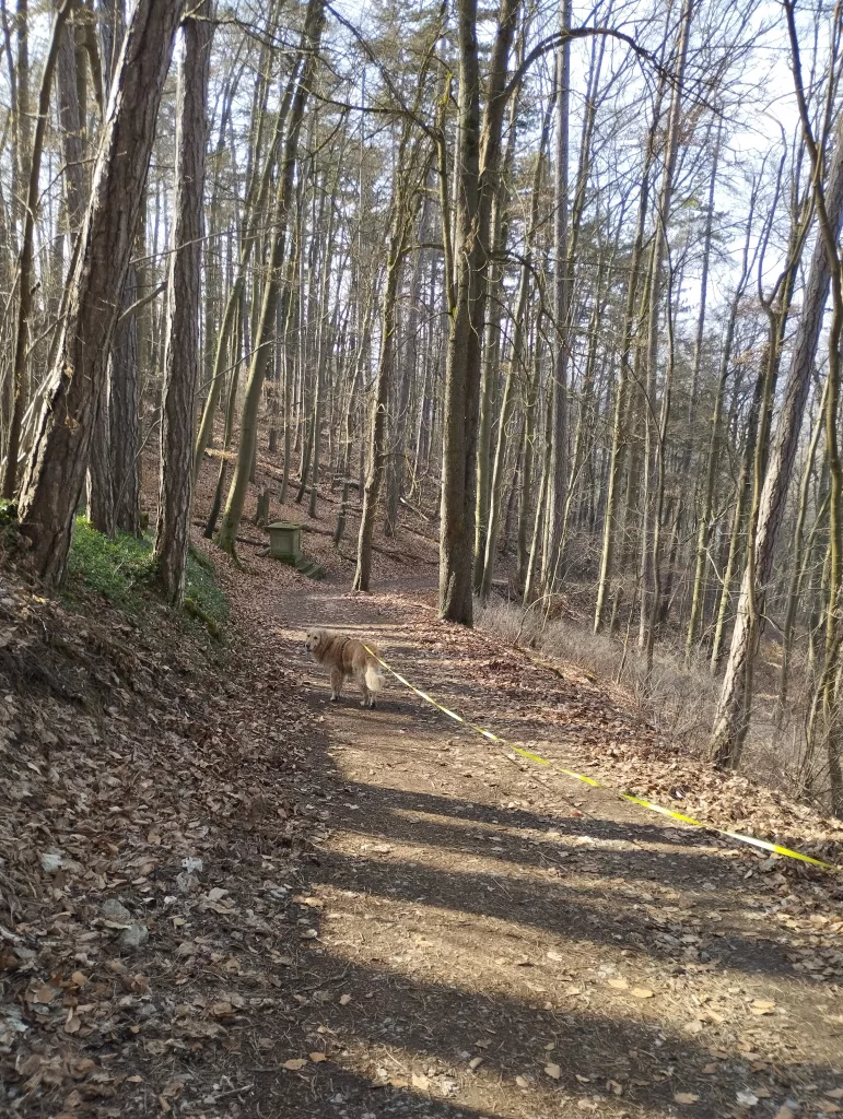 Salzburg - Bad Neustadt an der Saale