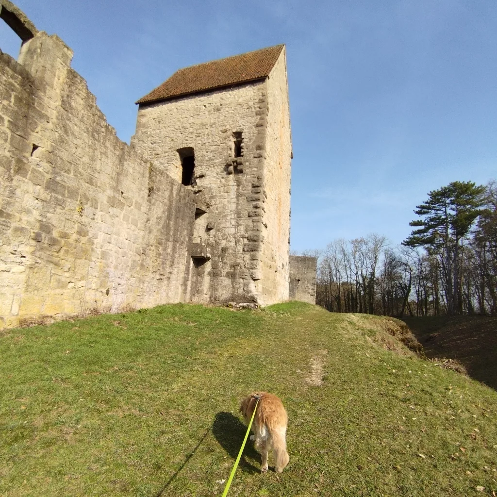 Gefängnisturm - Salzburg- Bad Neustadt an der Saale