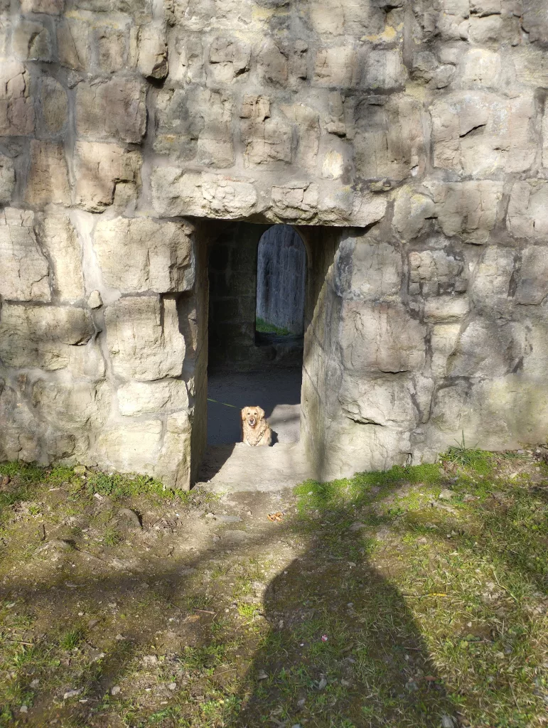Torturm - Salzburg- Bad Neustadt an der Saale