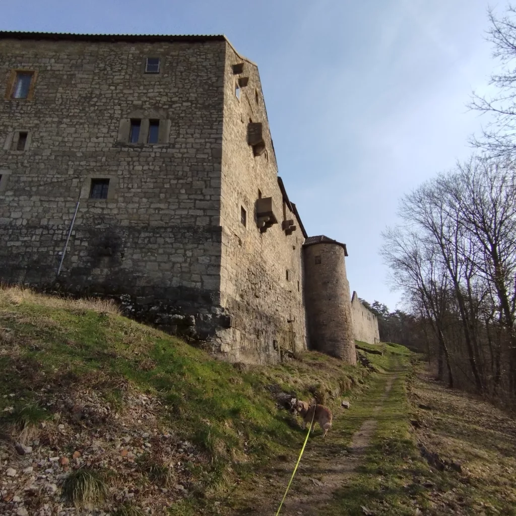 Voitscher Ansitz - Salzburg- Bad Neustadt an der Saale