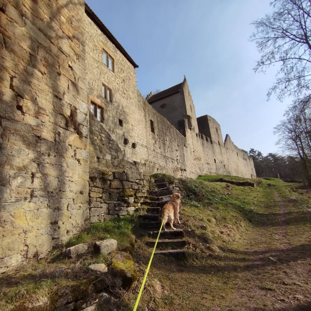Voitscher Ansitz - Salzburg- Bad Neustadt an der Saale