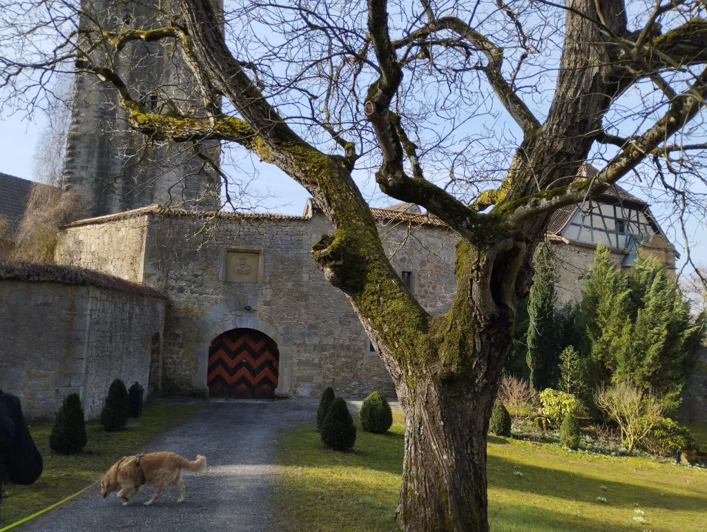Voitscher Ansitz - Salzburg- Bad Neustadt an der Saale