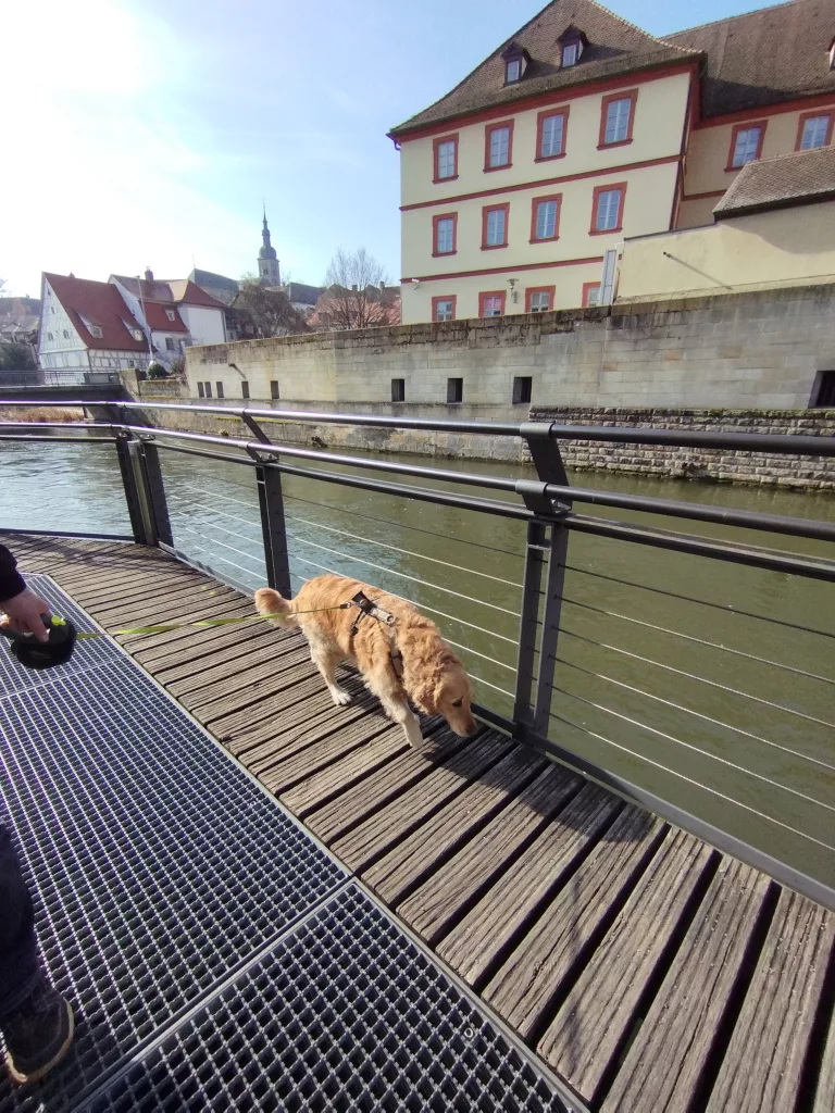 Untere Mühlbrücke - Bamberg