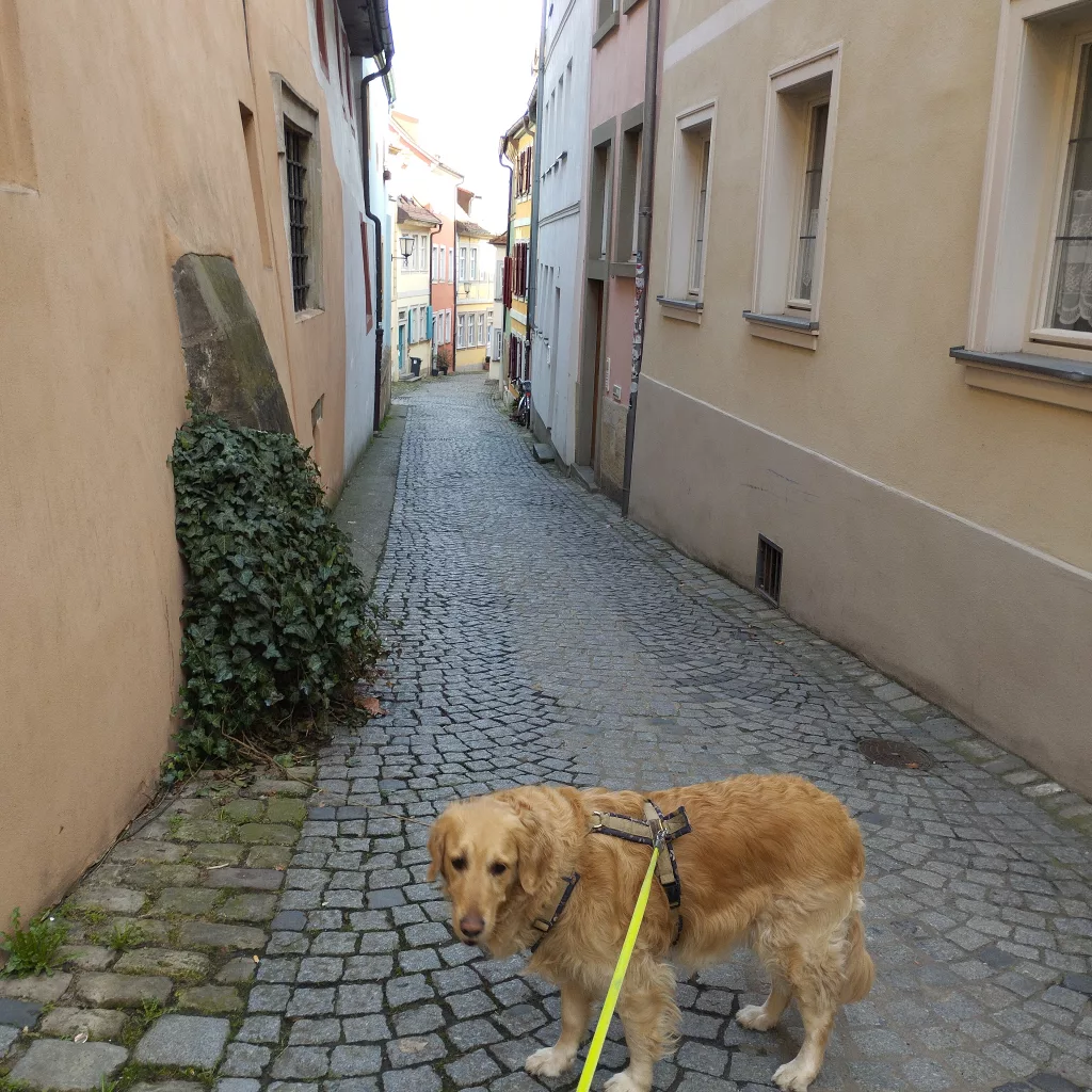 Concordiastraße Bamberg