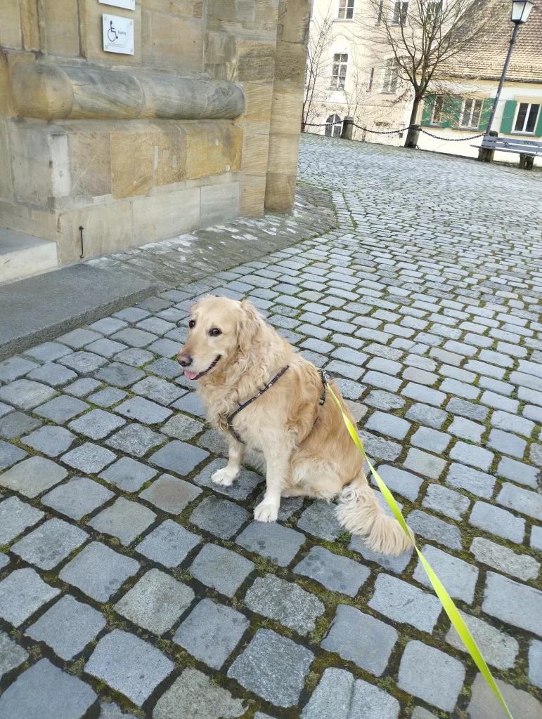 Bamberg